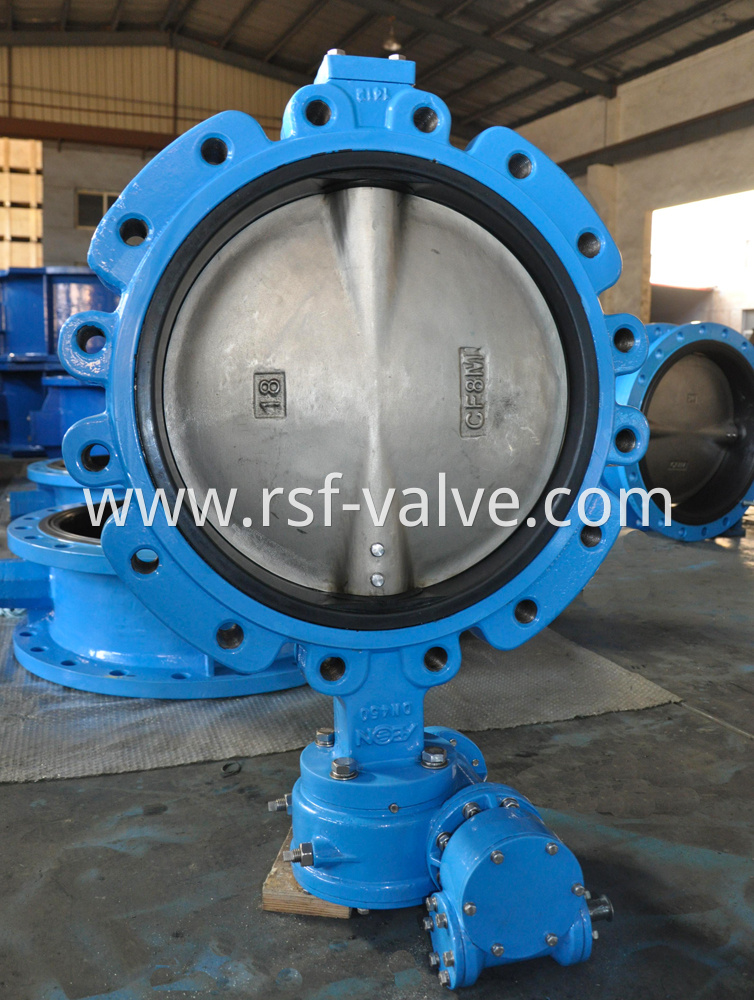 Concentric Lug Type Butterfly Valve 3